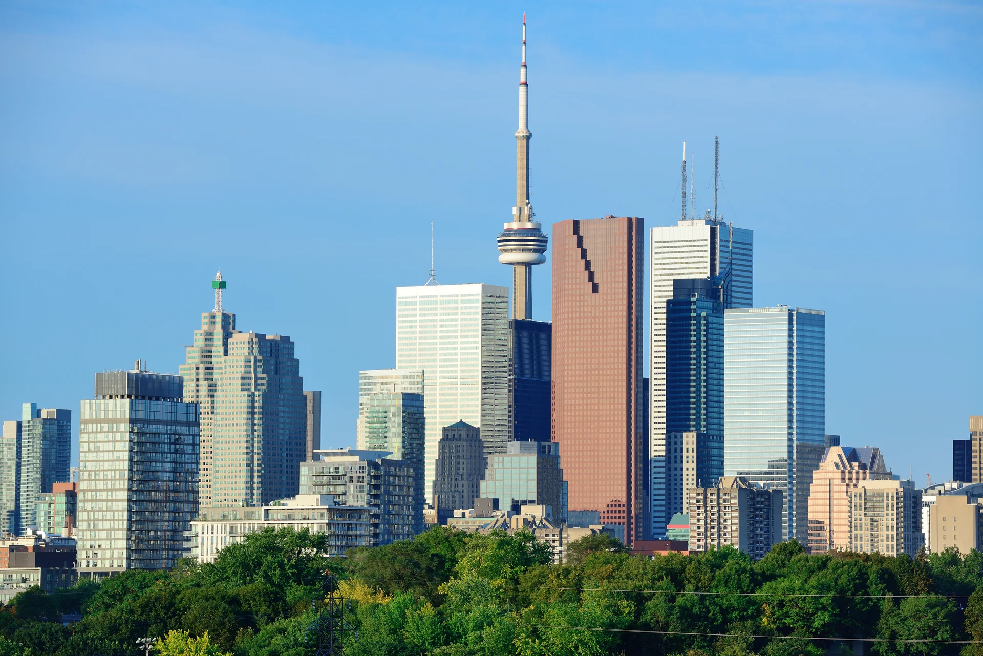 Making moves fast, simple, and stress-free for families and businesses across Toronto, ON